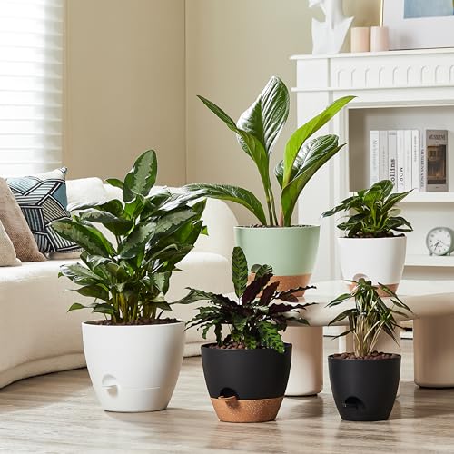 3 Pack Large Planter Pots (3 Count)