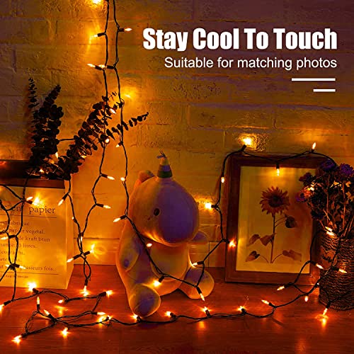 Orange LED Outdoor Halloween Lights