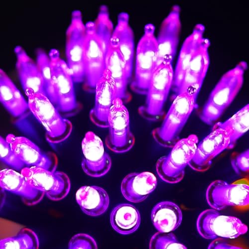 Halloween Purple Lights Decorations (50 Count)