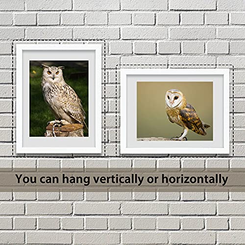18x24 Poster Frames 3 Pack (3 Count)