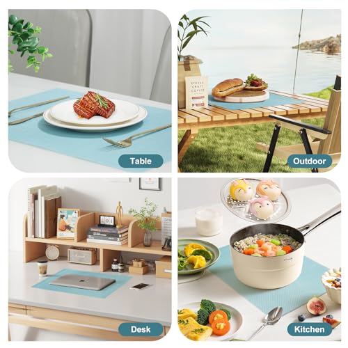 Placemats Set of 8 (8 Count)