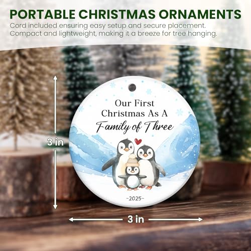 Baby's First Christmas Ornaments 2025