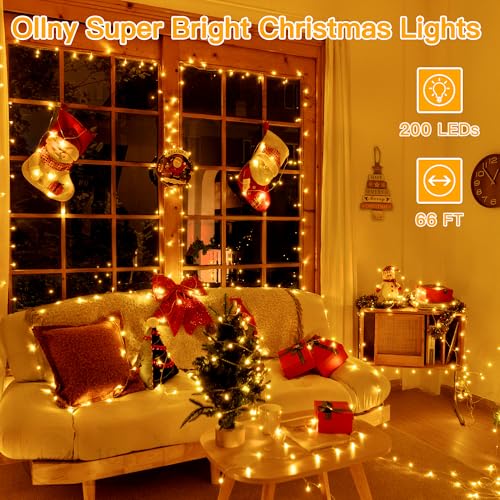 Christmas Lights (66 Foot)