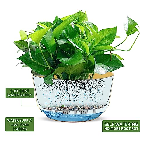 11.2 Inch Self Watering Hanging Planter (2 Count)