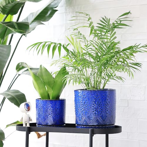 8 Inch + 6 Inch Indoor Plant Pot with Drainage Holes and Saucers (2 Count)