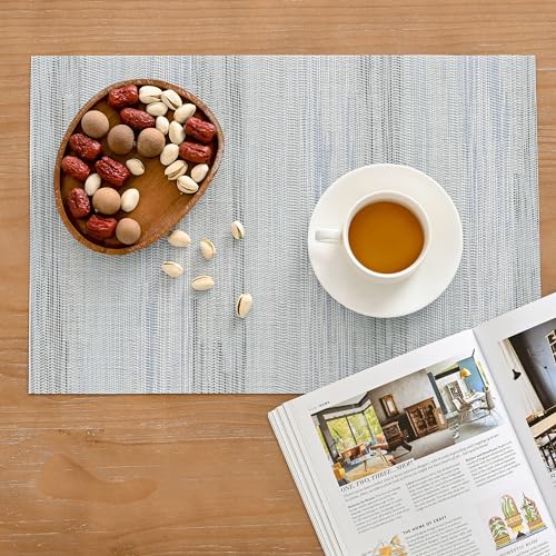 LightSteel Blue Placemats Set of 12 (12 Count)
