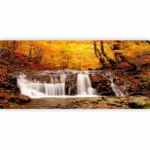 Wall Mural Wallpaper (11 Count)