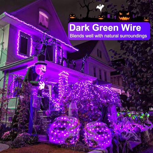 Purple Halloween Lights Outdoor