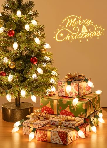 50Ft Christmas Lights Outdoor (50 Count)
