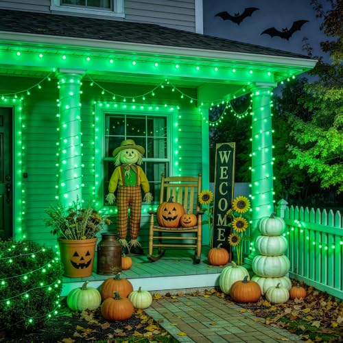 Connectable 100 LED Globe String Lights Indoor