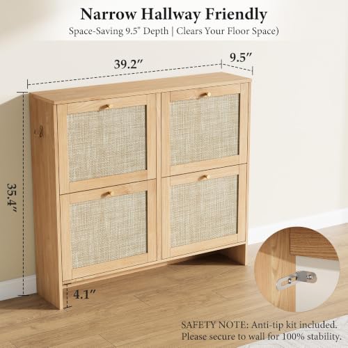 Modern Rattan Shoe Cabinet