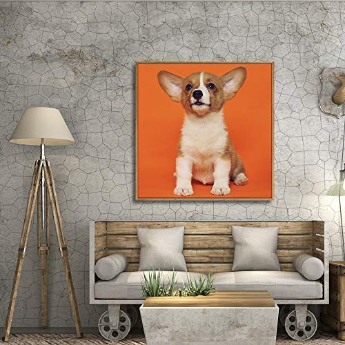 Custom Framed Canvas Prints with Your Photo for Pets