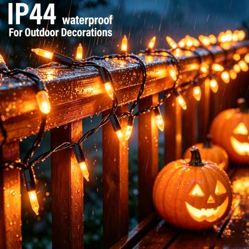 Orange Halloween Lights (21 Foot)