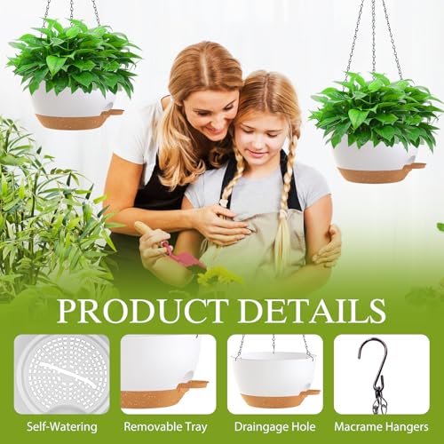 10 Inch Hanging Baskets 2 PC with Chains (2 Count)