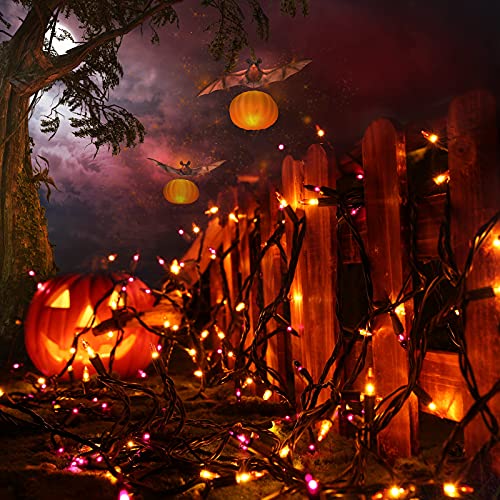 Orange & Purple Halloween Lights (12.5 Foot)
