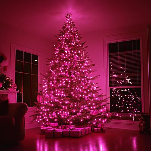 Christmas Lights (21 Foot)