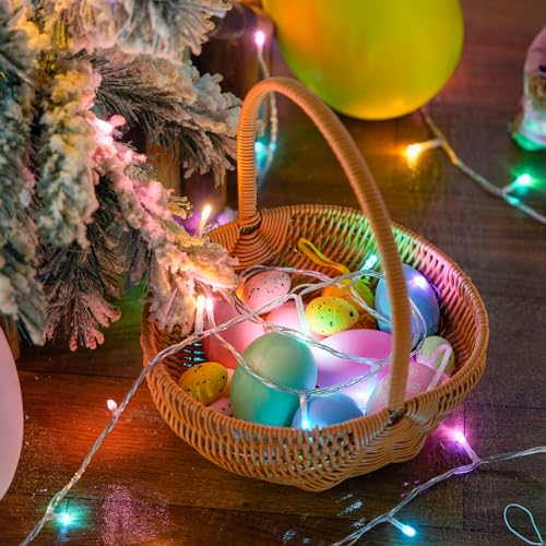 33ft 100 LED Easter Lights for Indoor Outdoor Use (33 Foot)