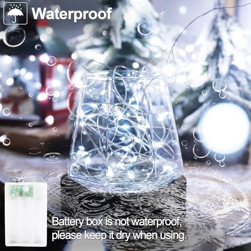 Christmas Fairy String Lights Battery Operated (33 Foot)