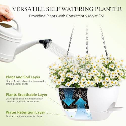 12 Inch Hanging Baskets 2 PC with Chains (2 Count)
