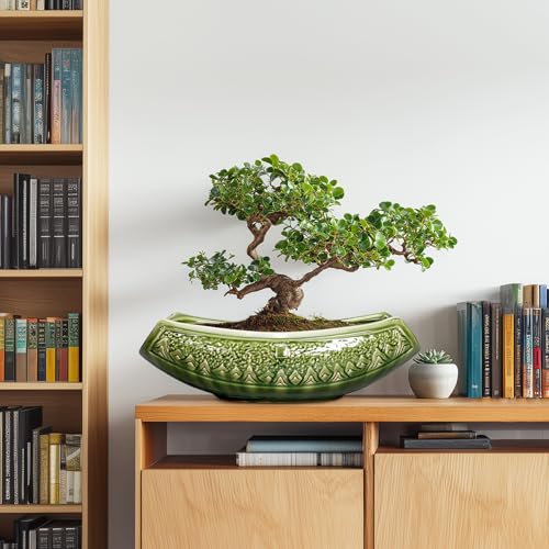 Bonsai Planter 18 Inch