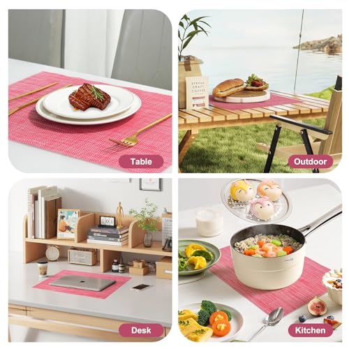 Placemats Set of 12 (12 Count)