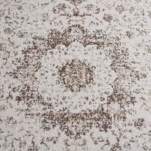 Evoke Area Rug 5'3"x7' (39.4 Sq Ft)
