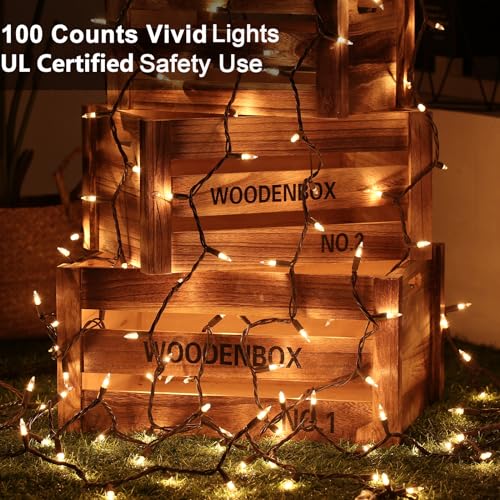 Clear Christmas String Lights (100 Count)