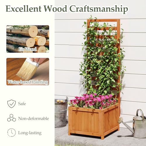 2 48" Raised Garden Bed with Trellis & Garden Box
