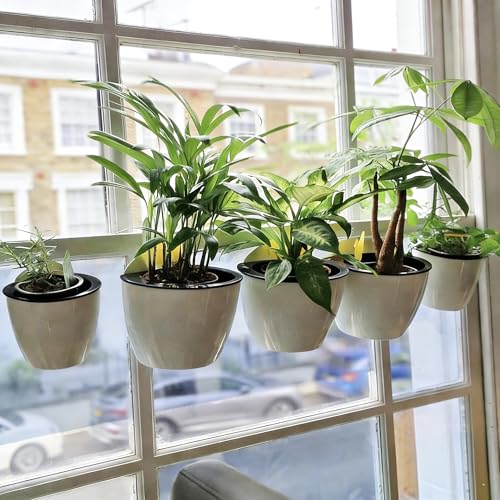 6 Pack White Hanging Planter Pots Self Watering Vertical Garden Wall Mount Window Hang Round Plastic Container Indoor Outdoor for Plants Flowers Succulent Kitchen Living Herbs Holder Decor (6 Count)