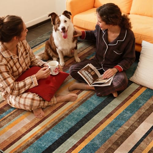 5x7 Area Rug Modern Striped Rug Washable Living Room Rug (35 Sq Ft)