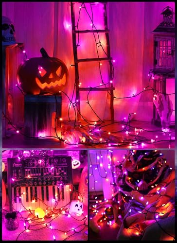 Christmas Lights Outdoor