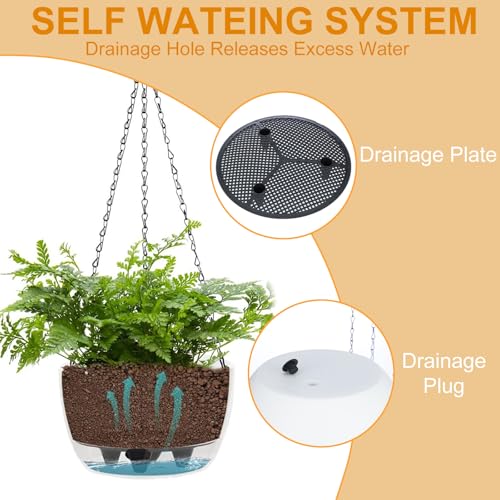 2 Pack Solar Hanging Planters for Plants Outdoor (2 Count)