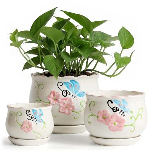 Ceramic Plant Pots with Drainage Holes and Saucers (3 Count)
