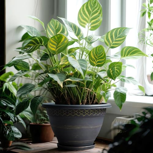 10 Inch Plant Pots (4 Count)
