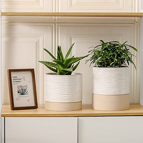 Ceramic Plant Pot