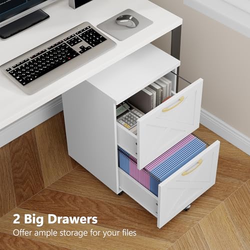 Farmhouse File Cabinet with 2 Drawers