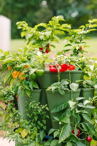 Patented Large 5 Tier Vertical Garden Planter with Patented Internal Watering System Great for Growing a Variety of Strawberries (30 Count)