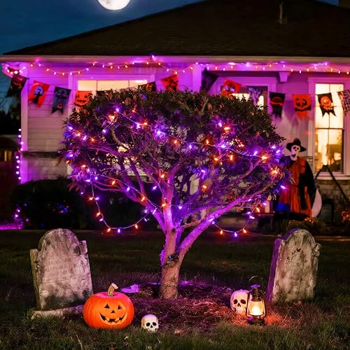 163 FT 500 LED Orange and Purple Halloween String Lights Indoor (163 Foot)