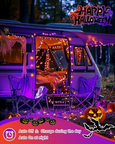 Solar Halloween Lights Orange and Purple (66 Foot)