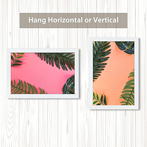 24x36 Poster Frames 3 Pack (3 Count)