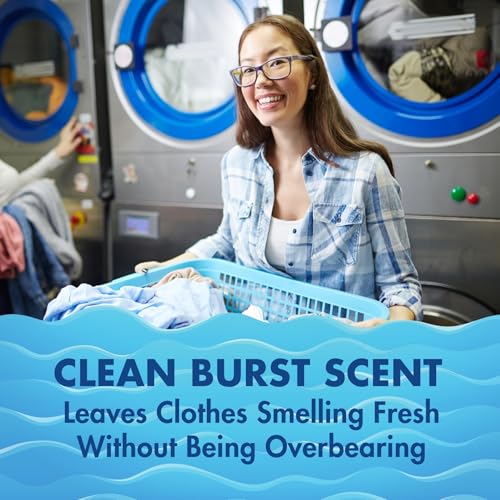 Liquid Laundry Detergent Professional (640 Fl Oz)