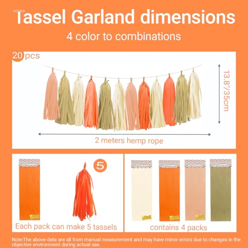 Tissue Paper Tassel Garland Banner (20 Count)