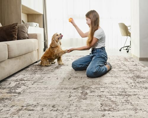 7x9 Area Rug Living Room Rugs (24 Count)