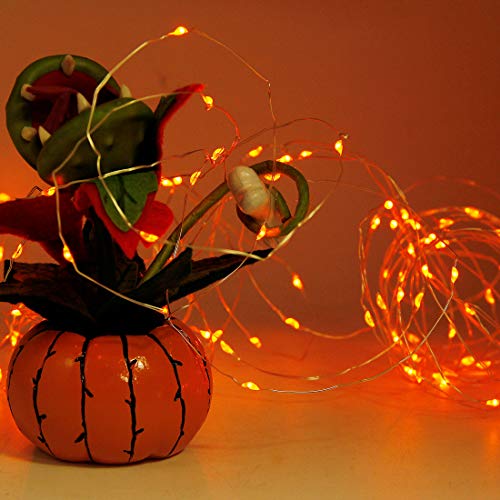 200 LED Halloween Fairy Lights (66 Foot)