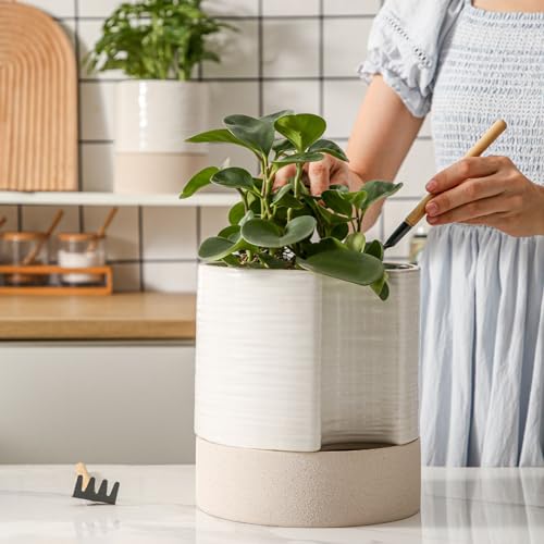 Ceramic Self Watering Plant Pot for Indoor Plants