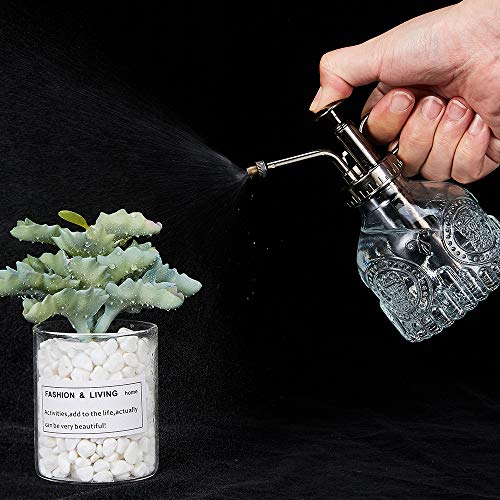 Glass Plant Mister Spray Bottle