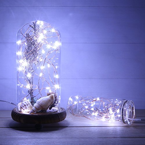 Battery Operated Fairy String Lights (10 Foot)