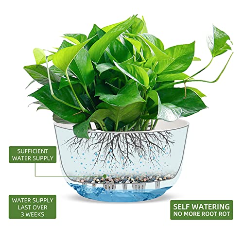 11.2 Inch Self Watering Hanging Planter (2 Count)