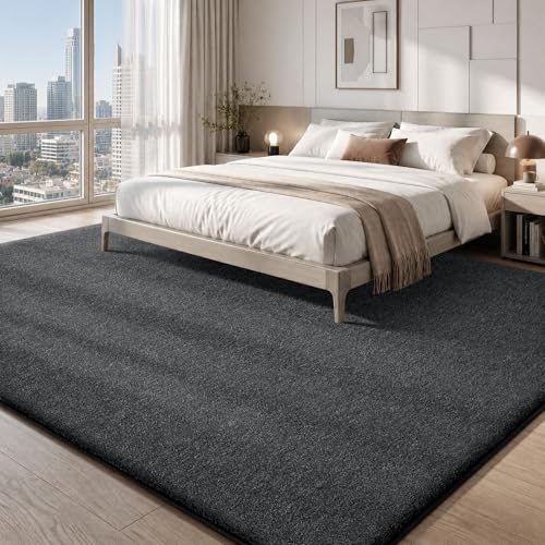 Area Rugs 9x12 for Living Room Bedroom (108 Sq Ft)