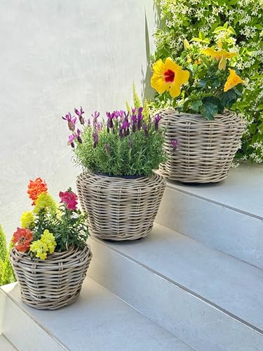 Rattan Planter Basket Plant Pot Holder 2.5